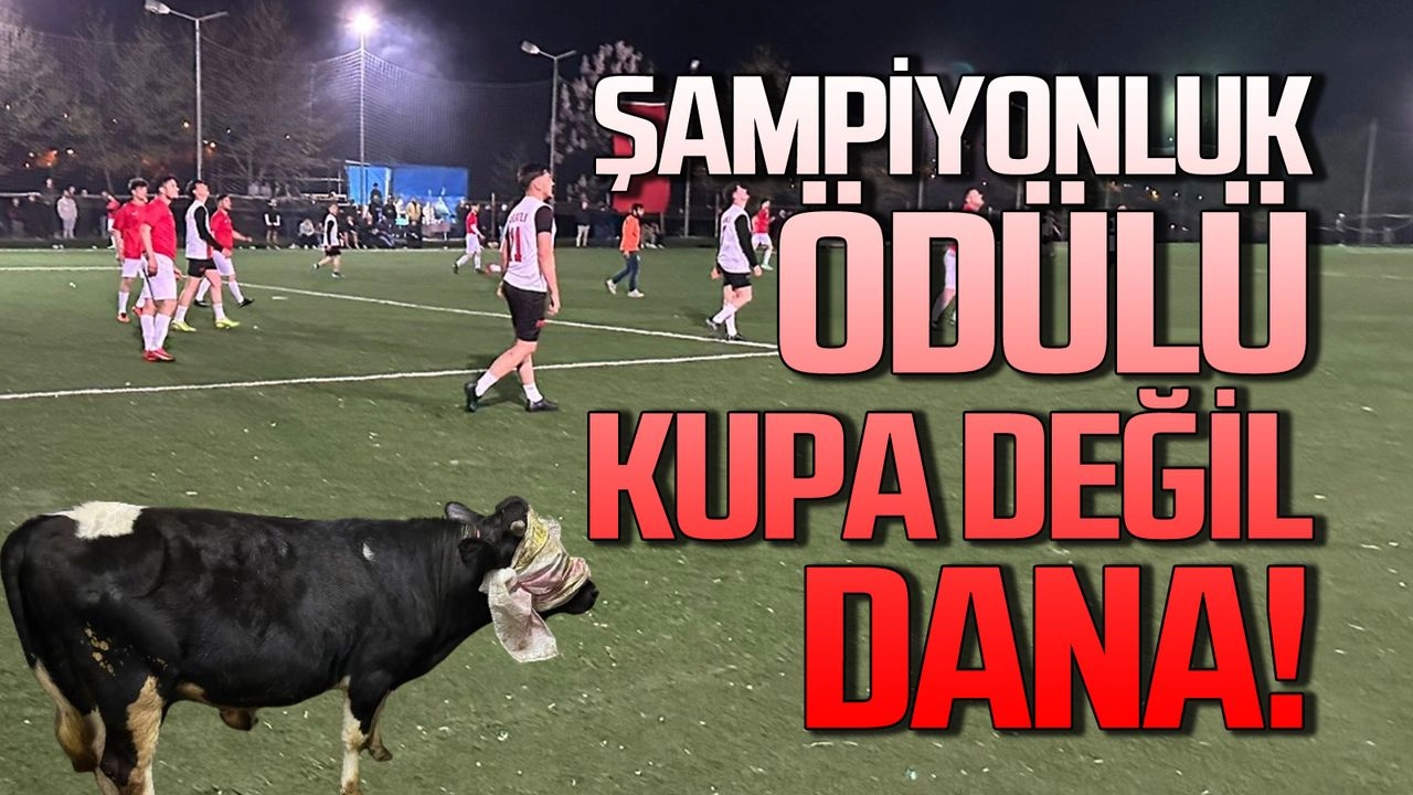  Şampiyonluk ödülü kupa değil dana